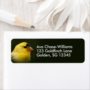 Vacker amerikansk Goldfinch Songbird Returadress Etikett
