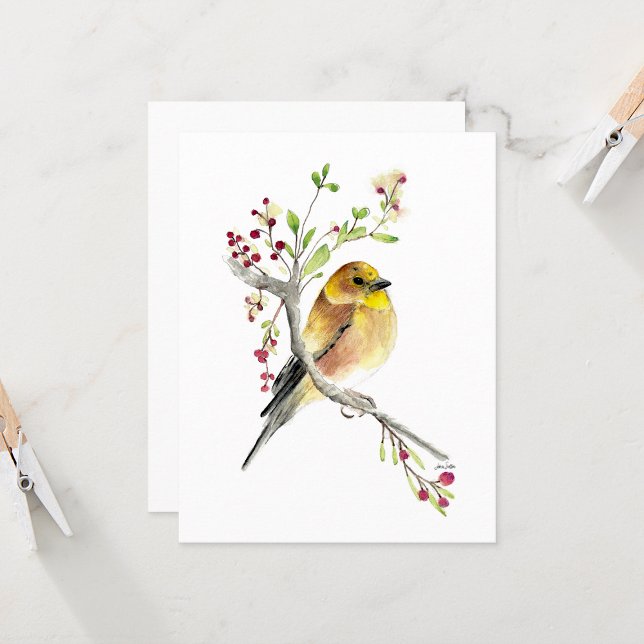Vacker amerikansk guldfink Songbird-anteckningskor (Beautiful American Goldfinch Songbird Blank Note Cards from Jenn Steffen Art)