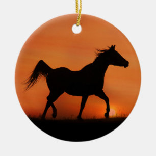 Vacker arabisk häst Ornament
