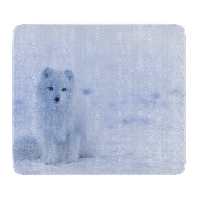 Vacker arktisk räv (Framsidan)