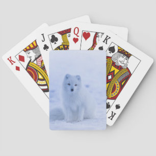 Vacker arktisk räv casinokort