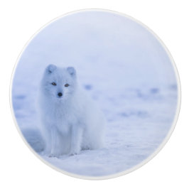 Vacker arktisk räv knopp