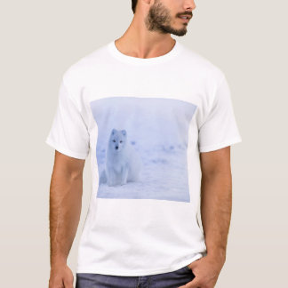 Vacker arktisk räv t shirt