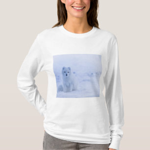 Vacker arktisk räv t shirt
