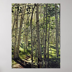 Vacker aspdunge i Crested Butte Po Poster
