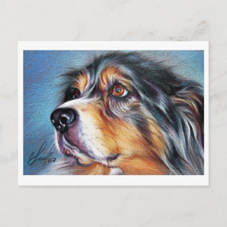 Vacker Aussie Vykort