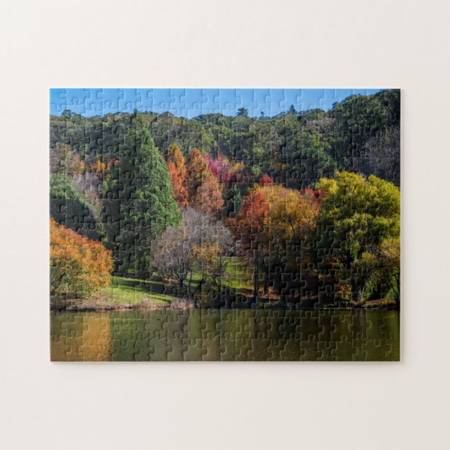 Vacker australisk höstscenery, 252 delar pussel (Horisontell)