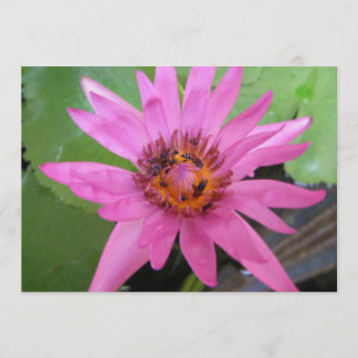 vacker avisering om flytta i vatten meddelande