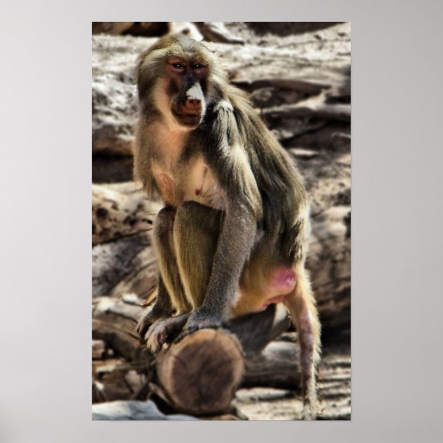 vacker babombord-avtryck poster (Framsidan)