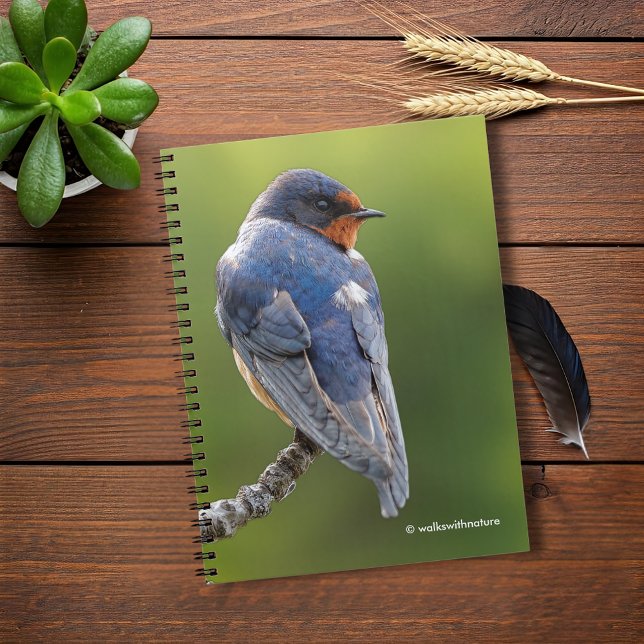 Vacker Barn Sväljer på Gren Anteckningsbok Med Spiral (Beautiful Barn Swallow on a Branch Journal Cover Photo)