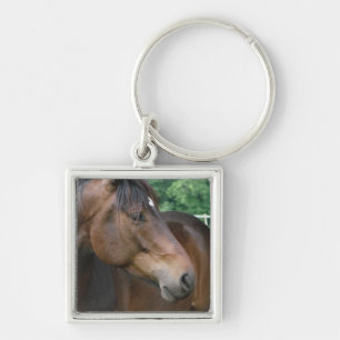 Vacker Bay Horse Fyrkantig Silverfärgad Nyckelring