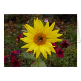 Vacker Bee på Gult Solrosfoto Hälsningskort