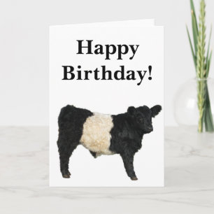 Vacker Belted Galloway Oxe Utskärare Kort