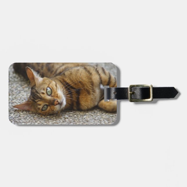 Vacker Bengal Cat Bagagebricka (Horisontell Framsida)