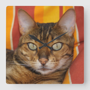Vacker Bengal Cat Fyrkantig Klocka