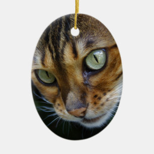 Vacker Bengal Cat Julgransprydnad Keramik