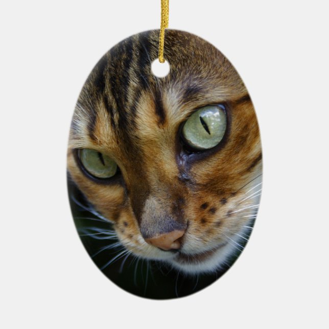 Vacker Bengal Cat Julgransprydnad Keramik (Framsidan)