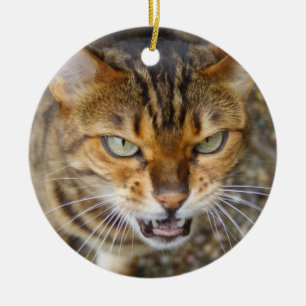 Vacker Bengal Cat Julgransprydnad Keramik