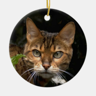 Vacker Bengal Cat Julgransprydnad Keramik