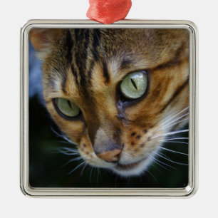 Vacker Bengal Cat Julgransprydnad Metall