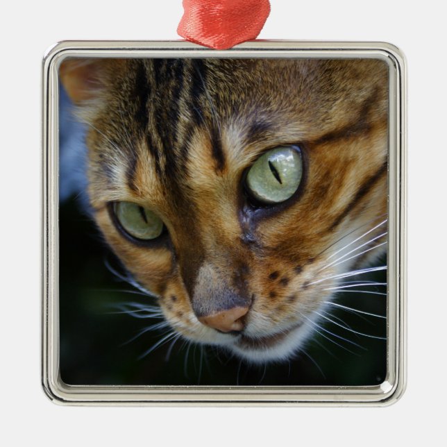Vacker Bengal Cat Julgransprydnad Metall (Framsidan)