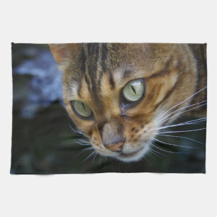 Vacker Bengal Cat Kökshandduk