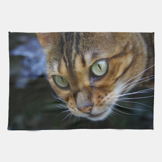 Vacker Bengal Cat Kökshandduk (Horisontell)