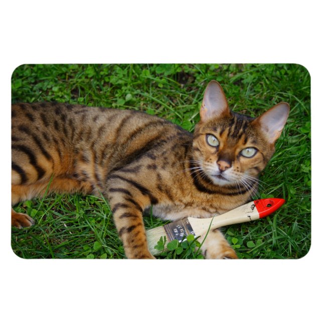 Vacker Bengal Cat Magnet (Horisontell)