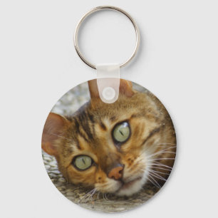 Vacker Bengal Cat Nyckelring