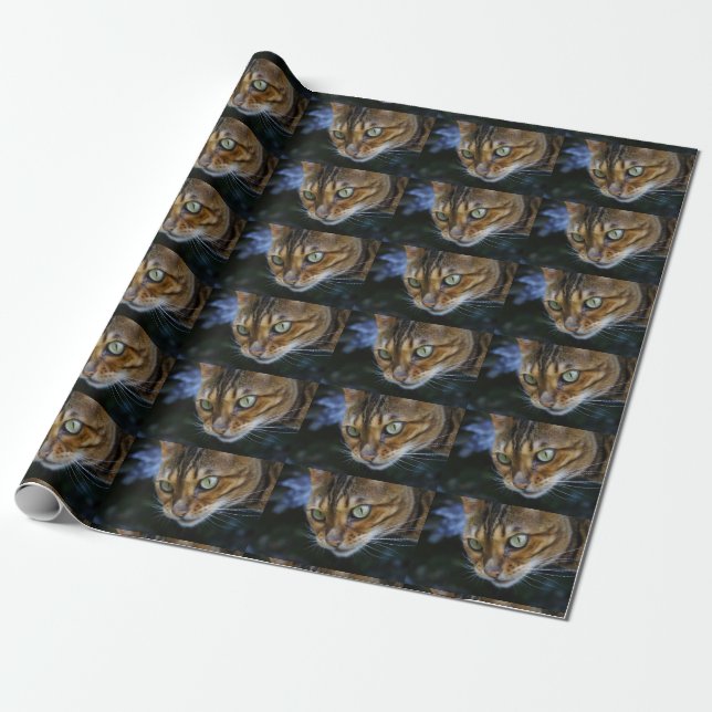 Vacker Bengal Cat Presentpapper (Utrullad)