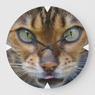 Vacker Bengal Cat Stor Klocka