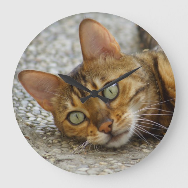 Vacker Bengal Cat Stor Klocka (Framsida)