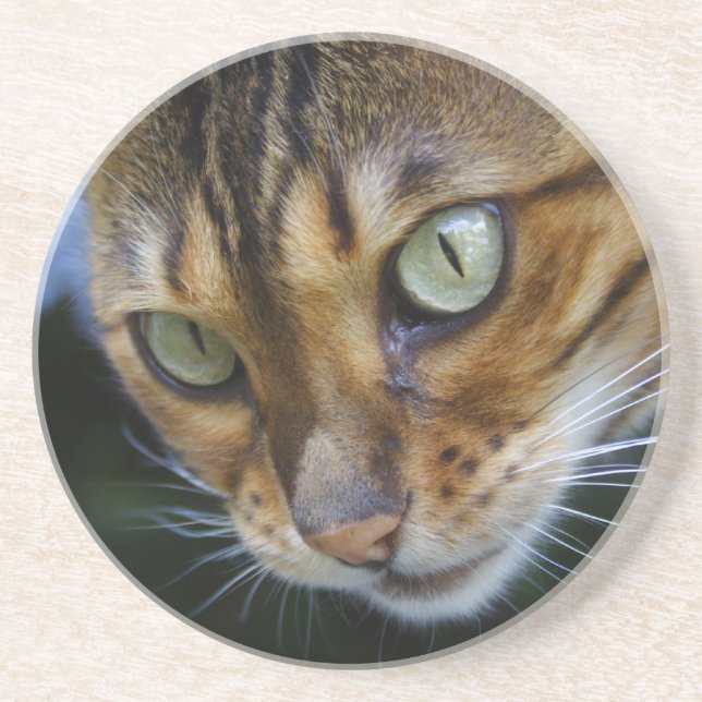 Vacker Bengal Cat Underlägg (Framsidan)