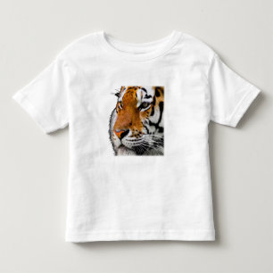 Vacker Bengalisk Tiger Ansikte Foto T Shirt