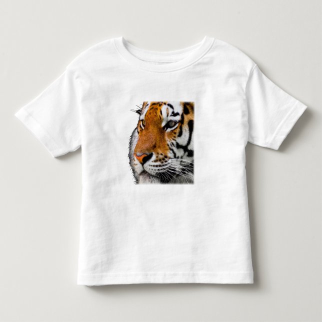 Vacker Bengalisk Tiger Ansikte Foto T Shirt (Framsida)