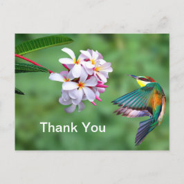 Vacker Biätare Blommig Foto Tack Vykort