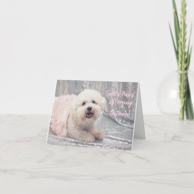 Vacker Bichon Frise Ballerina-julkort Helgkort (Framsida)
