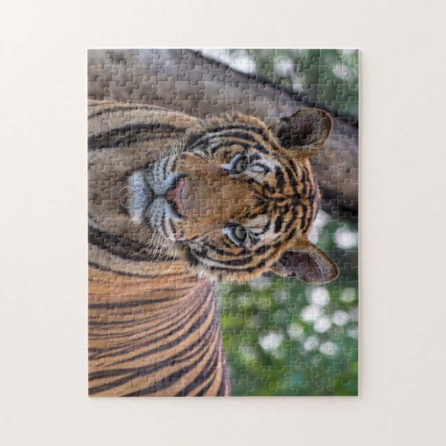 Vacker bild på en Bengalisk tiger Pussel (Vertikal)