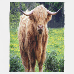 Vacker Bison Fleecefilt