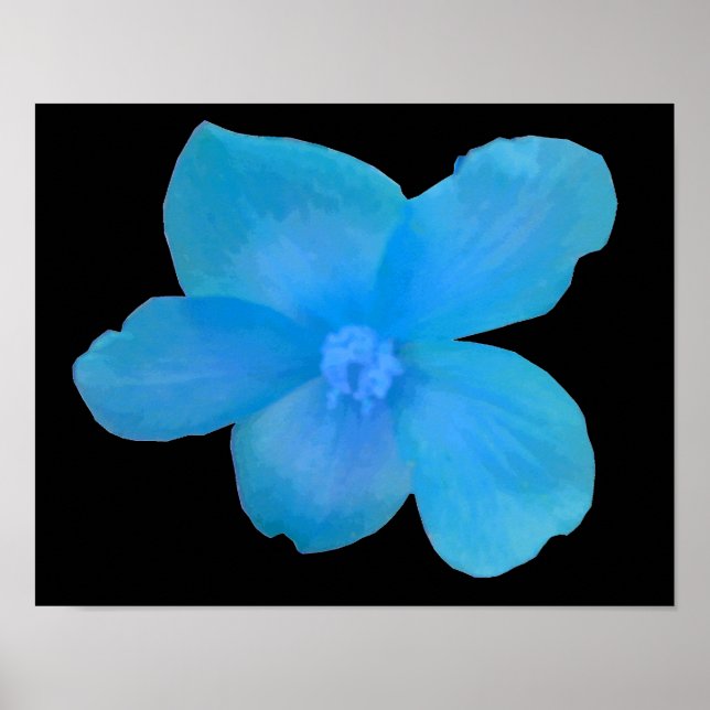 Vacker blå Begonia-blomstertryck Poster (Framsidan)