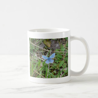 Vacker Blå Fjäril Kaffemugg