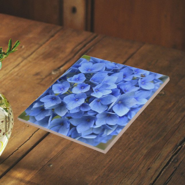 Vacker blå hortensia blommande blomma kakelplatta (In Situ)