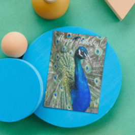 Vacker blå peacock Photo Birthday Kort