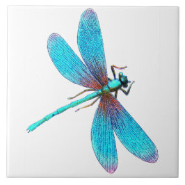 Vacker, blå turkos Dragonfly Kakelplatta