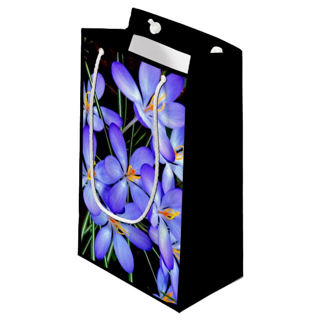 Vacker blå vildblomma natur  (Framsidan Vinklad)
