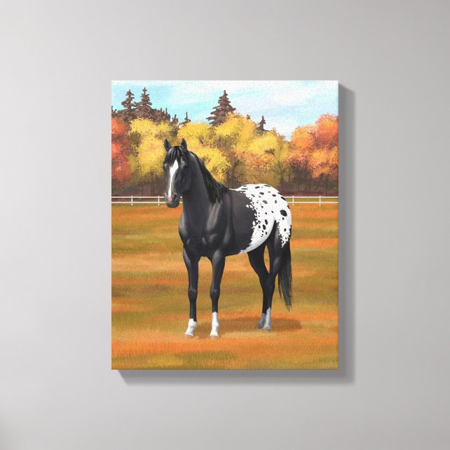 Vacker Black Appaloosa Quarter Horse Stallion Canvastryck (Framsida)