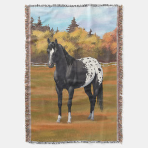 Vacker Black Appaloosa Quarter Horse Stallion Filt