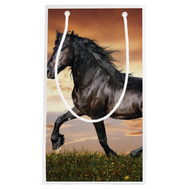 Vacker Black Horse (Framsidan)