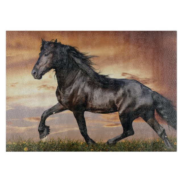 Vacker Black Horse (Framsidan)