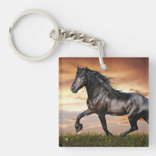 Vacker Black Horse